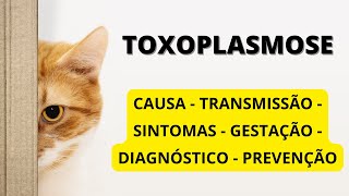 🌟 TOXOPLASMOSE 🌟  SINTOMAS I TRANSMISSÃO I GESTANTES I DIAGNÓSTICO I PREVENÇÃO [upl. by Kwapong294]