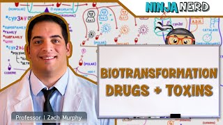 Gastrointestinal  Biotransformation of Drugs and Toxins [upl. by Melas488]