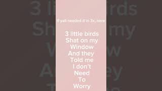 3 little birds sat on my window short [upl. by Ahsekat]