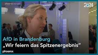 LTW Brandenburg Interview mit Alice Weidel und HansChristoph Berndt AfD [upl. by Stacia]