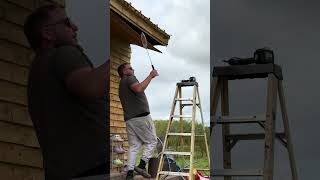 One man vs wasp nest pestcontrol waspnest offgrid garden farming badminton [upl. by Ardnos]