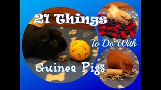 21 Things To Do With Guinea Pigs [upl. by Ender790]