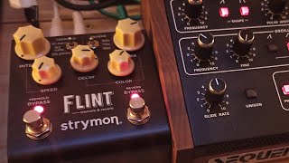 Prophet 10 desktop  Strymon Flint [upl. by Divan]