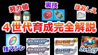 4世代のポケモン育成方法を完全解説！！【ポケモンHGSS DPPt リボンコンプ】 [upl. by Yee]