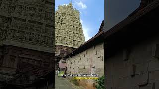 Sree Padmanabhaswamy Temple  Thiruvananthapuram kerala [upl. by Joane]