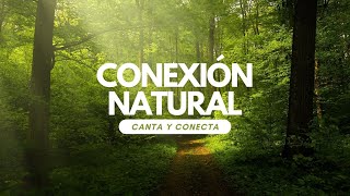 Conexión Natural Canción [upl. by Smaj]