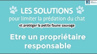 Prendre soin de son chat pour limiter la prédation et protéger la petite faune sauvage [upl. by Leduar]