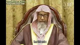 Cheikh al Fawzan  Définition de La Foi الإِيمَانُ [upl. by Idnyc]