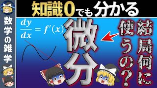 【ゆっくり解説】文系の最大の壁「微分」の正体 [upl. by Deering215]