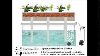 Hydroponic wick System [upl. by Lipson]