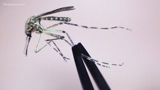 New cases of West Nile Virus reported [upl. by Ranique623]