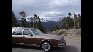 1988 Oldsmobile Custom Cruiser [upl. by Nhguavahs244]