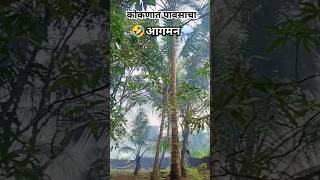 कोकणात पावसाचा आगमन🌧️🤣 पावसाळी जीवन  Pavsala  monsoon  pavsala shorts nature kokan [upl. by Thetisa]