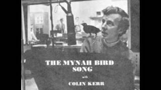 Colin Kerr amp Rajah  The Mynah Bird Song [upl. by Lu786]