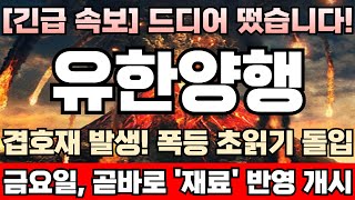 유한양행 주가전망 긴급 미노출자회사 ‘이뮨온시아’ 상장 프리미엄 확실하다 성사만 되면 기업가치 10배 폭증 유력 국내 최초 면역항암제 개발 박차 유한양행완벽분석 [upl. by Wolfram33]