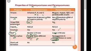 diference between orthomyxovirus and paramyxovirus BY DR VISHWA MEDICAL COACHING WHATSAPP 919930788 [upl. by Worth122]