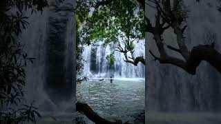 Kerala Nature waterfalls kerala [upl. by Nadabb]