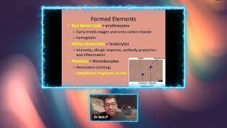 BIO 202 Hematology [upl. by Debbi]