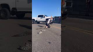 Wrestling a gator before JiuJitsu class bluecollarbrawler [upl. by Sternberg]