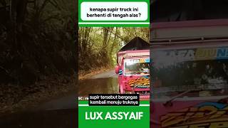 KENAPA SUPIR TRUCK INI BERHENTI DI TENGAH ALAS shorts [upl. by Eivod]