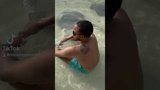 Swimming with Stingrays 😳🙀￼ belize love cayecaulker stingray island islandlife [upl. by Evars560]