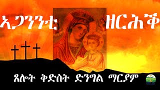 ኣጋንንቲ ዘርሕ ጸሎት ኣዴና ቅድስት ድንግል ማርያም Eritrean Orthodox Tewahdo church [upl. by Tawnya954]