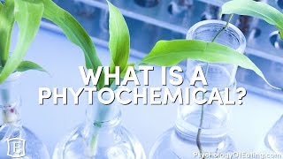 What is a Phytochemical  with Marc David [upl. by Lourie]