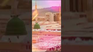 Madina  Naat  YouTube Short video  unfreeze my account  please Support me [upl. by Bent]