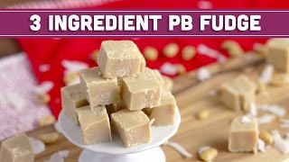 How to Make 3 Ingredient Peanut Butter Fudge Vegan  HOLIDAY FOODIE COLLAB  Mind over Munch [upl. by Oreste413]