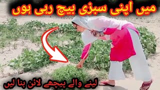 Main Apni Fresh Sabzi Bech Rahi HunTaza Sabzi Lene wale Line Bana LoKhizer Family 801Viral Video [upl. by Atnwahsal]