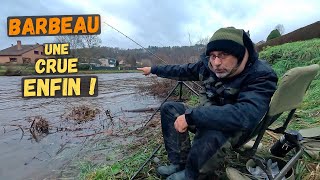 Cette crue peutelle ouvrir lappétit du Barbeau   Pêche hivernale du Barbeau sur lAmblève [upl. by Alakim669]