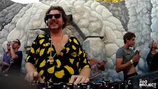 Defex zooathome S1E4 at The Zoo Project ibiza [upl. by Dhu]