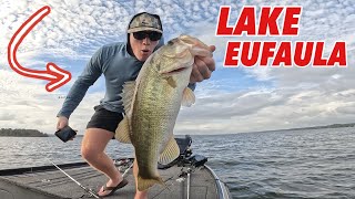 Lake Eufaula Alabama  High School Fishing Tournament TOP 20 [upl. by Wrigley]