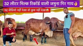 32 लीटर मिल्क रिकॉर्ड वाली शानदार 10 गिर गाय👌 Jamuna gir cow dairy farm Surat [upl. by Siddon]