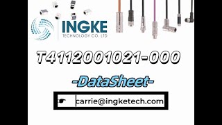 T4112001021000 DataSheet  ingketechnet [upl. by Ydnac511]