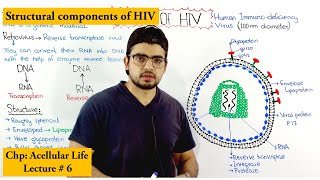 Structure of HIV  Human immunodeficiency virus [upl. by Uht]