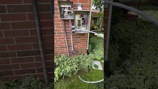 Generac transfer switch install electrician work homeimprovement lansingmichigan [upl. by Nabe]