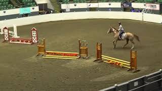 IEA Zone Horse Show at Eastern States Exposition Coliseum [upl. by Adnov]