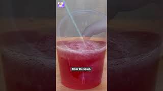 Extracting Strawberry DNA A Simple Explanation learnwithfun [upl. by Court]