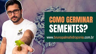 Como germinar sementes Hidroponia [upl. by Yerdna79]