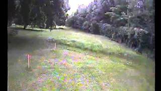 Tricopter Parkracer  downlink video [upl. by Dunson]