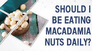 Ask Dr Gundry Should I be eating macadamia nuts daily [upl. by Zulema]