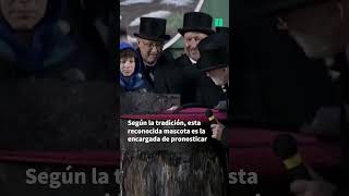 La marmota Phil pronostica que el invierno tiene los días contados  El HuffPost [upl. by Matta]