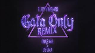 Gata Only REMIX  Floyymenor Cris MJ Ozuna SIN ANITTA [upl. by Gronseth]