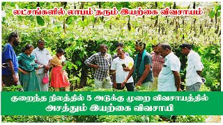 5அடுக்குமுறையில் அசத்தும் பொள்ளாச்சி விவசாயி  Organic farming  Suresh palekar 5 layer farming [upl. by Juley632]