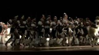 Amabhubesi Traditional Zulu Dance [upl. by Ignacius]