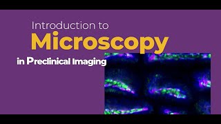 When to Consider Using Intravital Microscopy [upl. by Abdu]