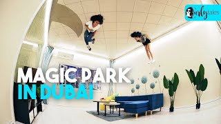 DUBAI MAGIC MALLS l AMAZING [upl. by Anillehs161]