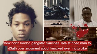 how north london gangster Sanchez Tate stbbed man to d3ath over argument about knocked over bike [upl. by Malinda]