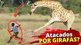 🦒😱 BRUTALMENTE ATACADOS POR JIRAFAS  Descubre los desgarradores relatos [upl. by Anselma]